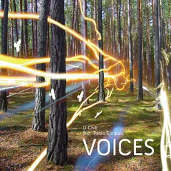 Voices