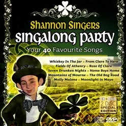 St. Patrick's Day Singalong Party