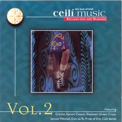 The Best Of Irish Ceili Music - Volume 2