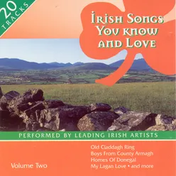 Irish Songs You Know And Love - Volume 2