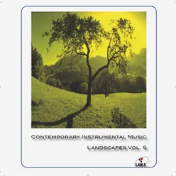 Contemporary Instrumental Music Vol.5