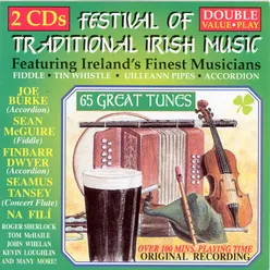 Festival Of Traditional Irish Music