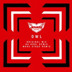 Owl-Extended Mix
