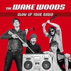 Blow up Your Radio