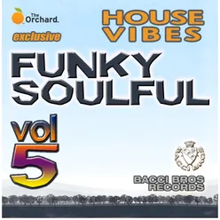 House Vibes Funky Soulful Vol. 5