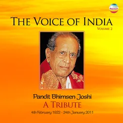 The Voice Of India, Vol. 2
