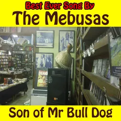 Son of Mr. Bull Dog