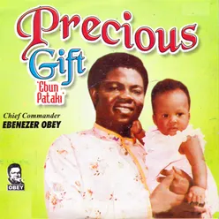 Precious Gift (Ebun Pataki)