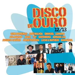 Disco de Ouro 12-13