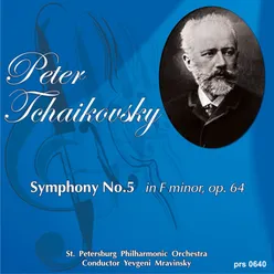 Symphony No.5 in E Minor, Op. 64: 2. Andante cantabile con alcuna licenza