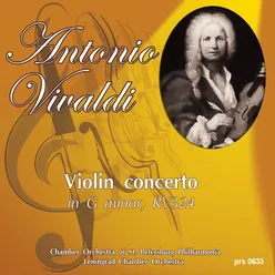 Violin Concerto in G Minor, Op. 6 No. 1, RV 324: II. Grave