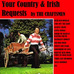 A Daisy a Day / Give an Irish Girl to Me / If Those Lips Could Only Speak / Que Sera Sera / Three Leaf Shamrock