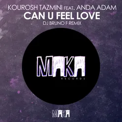 Can U Feel Love (Dj Bruno F Remix)