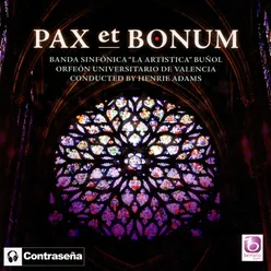Pax et Bonum: Ave Maria