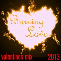 Burning Love: Valentines 2013 Mix