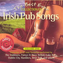 The Best Ever Collection of Irish Pub Songs, Vol. 1