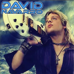 David Navarro