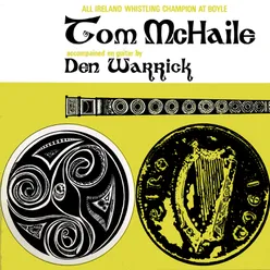 Pure Traditional Irish Tin Whistle