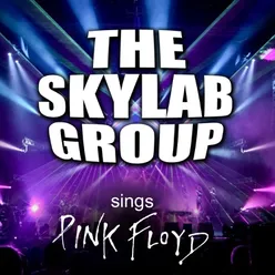 The Skylab Group Sings Pink Floyd