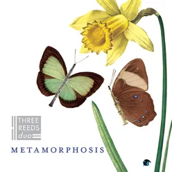 Six Metamorphoses After Ovid: III. Niobe