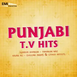Punjabi TV Hits