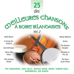 25 des Meilleures Chansons à Boire Irlandaises, Vol. 2