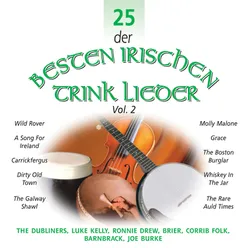 25 der Besten Irischen Trink Lieder, Vol. 2