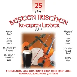 25 der Besten Irischen Kneipen Lieder, Vol. 1