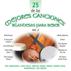 25 de las Mejores Canciones Irlandesas Para Beber, Vol. 2