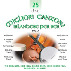 25 delle Migliori Canzoni Irlandese Per Bere, Vol. 2