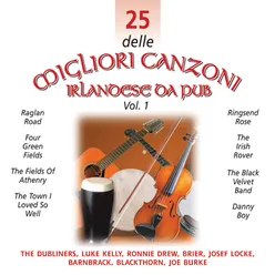 25 delle Migliori Canzoni Irlandese Da Pub, Vol. 1