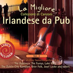 La Migliore Collezione di Canzoni Irlandese da Pub, Vol. 2