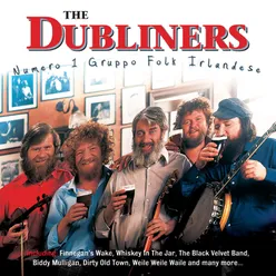 Numero 1 Gruppo Folk Irlandese