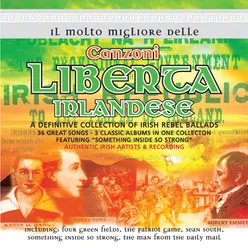 Il Molto Migliore delle Canzoni Liberta Irlandese