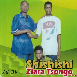 Shishishi Ziara Tsongo, Vol. 3b