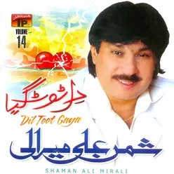 Dil Toot Gaya, Vol. 14