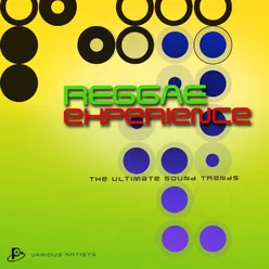 Reggae Experience (The Ultimate Sound Trends)