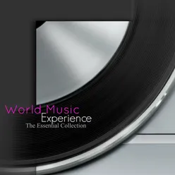 World Music Experience (The Essential Collection)