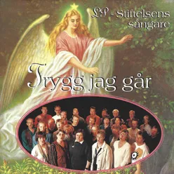 Steg för steg min Jesus leder