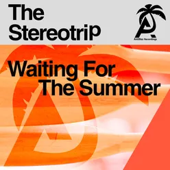 Waiting for the Summer-Chilled Summer Mix
