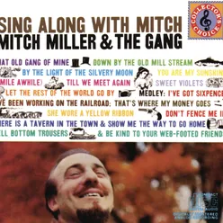 Sing Along With Mitch