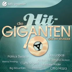 Die Hit Giganten - One Hit Wonder