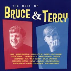 The Best of Bruce & Terry