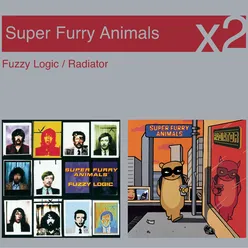Fuzzy Logic / Radiator