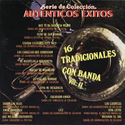 Ser. de Col. Aut. Exts. 16 Tradicionales Con Banda Vol. II