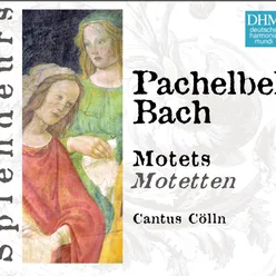 DHM Splendeurs: Pachelbel/Bach: Motets