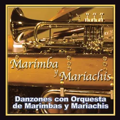 Danzones Con Orquesta de Marimbas y Mariachis