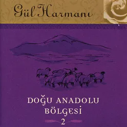 Gul Harmani Dogu Anadolu Bolgesi 2