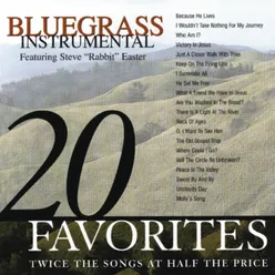 Bluegrass Instrumental:  20 Favorites
