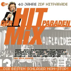 Der Hitparaden-Mix - Das beste aus 40 Jahren Hitparade